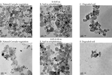 SciELO Brasil Nanoparticles And Nanostructure Morphology Of A Red