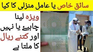 Amal Manzali And Saiq Khas Ka New Visa Kia Laina Chahey Doovi