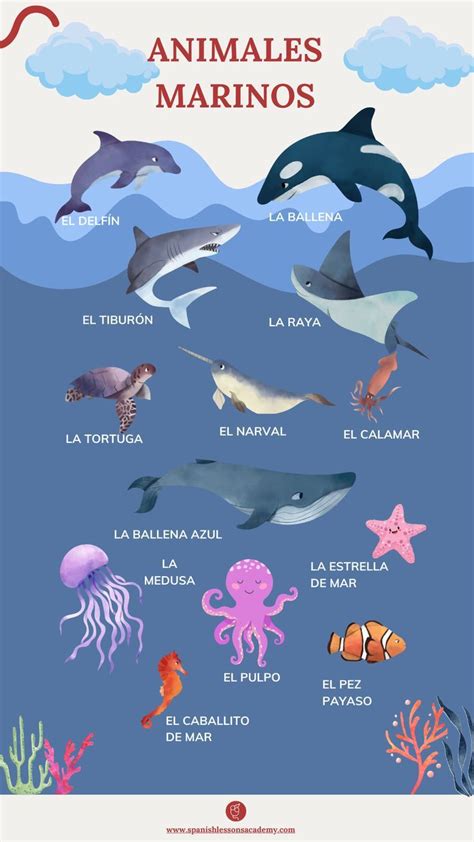Animales Marinos Vocabularioele Animales Marinos Animales