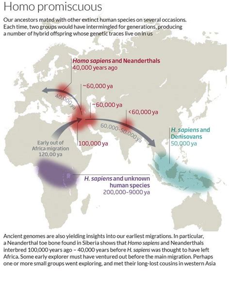 Meet Our Hybrid Ancestors Who Kept Extinct Humans Dna Alive