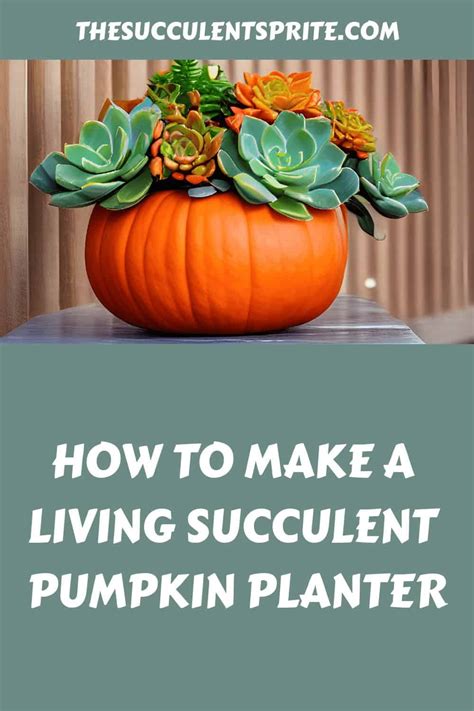 How To Make A Living Succulent Pumpkin Planter