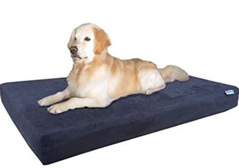 Waterproof Dog Bed | The Best Waterproof Dog Beds