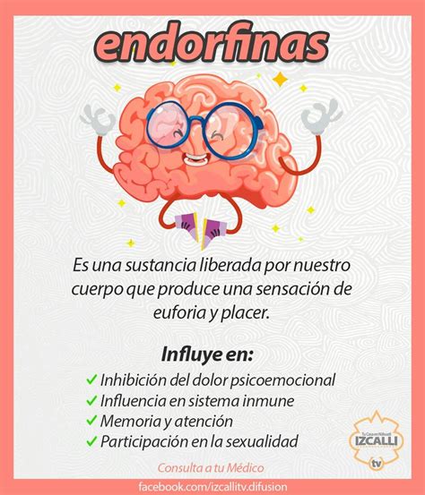 Endorfina O Que Significa - 7