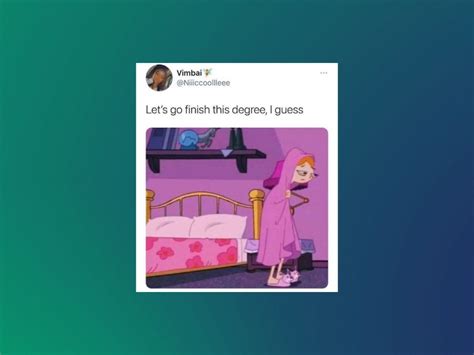 college senior citizen meme