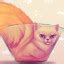 Pussy Puzzle On Steam