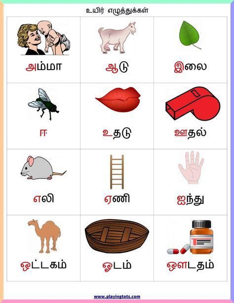 Tamil Alphabets Chart Buy Tamil Alphabets Chartteaching Charts In Madurai 738 Flashcards For