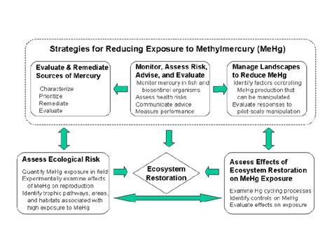 Conceptual Model Of Linkages Among Components Of The Mercury Strategy