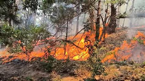 Alertă portocalie de incendiu în Parcul Natural Porțile de Fier Sute