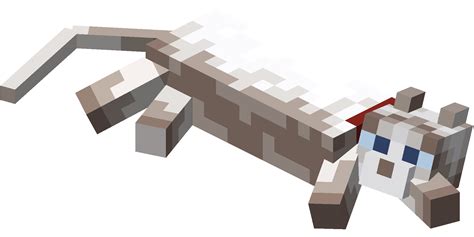 File Lying Down Ragdoll Cat With Red Collar Png Minecraft Wiki，最详细的官方我的世界百科