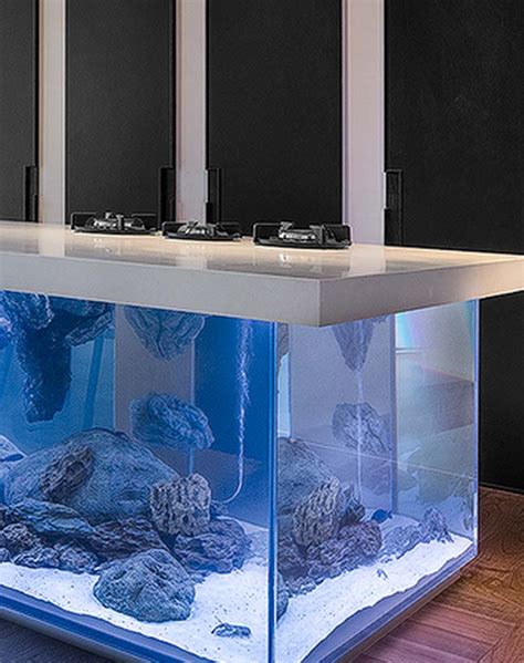 Ocean Kitchen Aquarium | Robert Kolenik