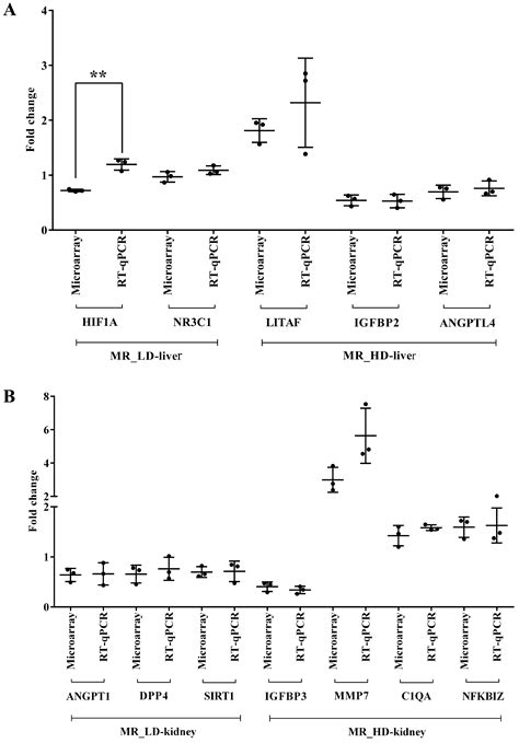 Ijms Free Full Text Diclofenac Disrupts The Circadian Clock And