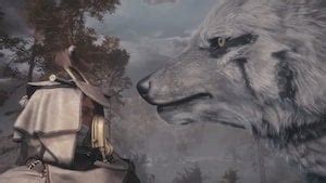 Companions | Soulframe Wiki