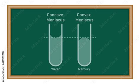 Vecteur Stock Adhesion And Cohesion Of Water Concave And Convex Meniscus Physics Resources For