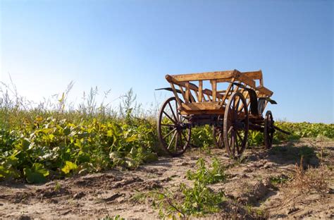 Antique Farm Wagon Value (Identification & Price Guides)