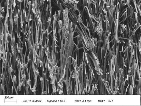 碳纤维固化毡的制备方法、碳纤维固化毡及其应用与流程