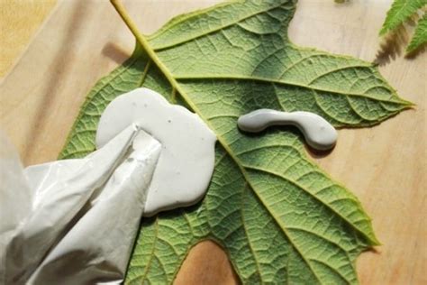 Leaf Casting With Plaster Of Paris Plaster Crafts Plaster Of Paris