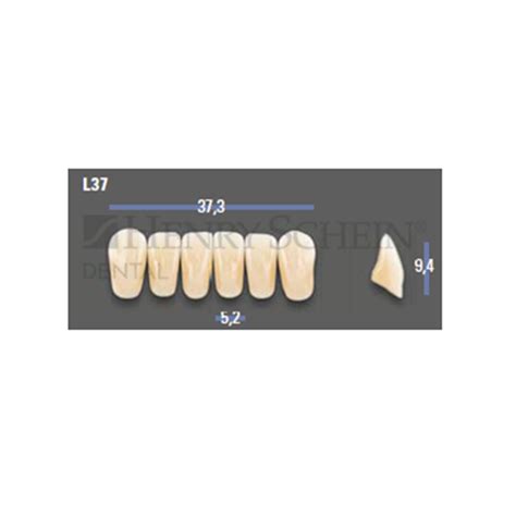 V AE B4 L37 VITAPAN EXCELL Classical Lower Anterior Shade B4 Mould