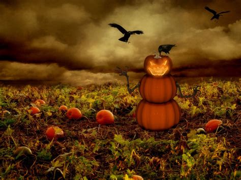 Pumpkins - Halloween Photo (8193778) - Fanpop