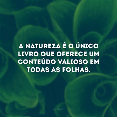 30 frases sobre meio ambiente para cuidar melhor do nosso planeta