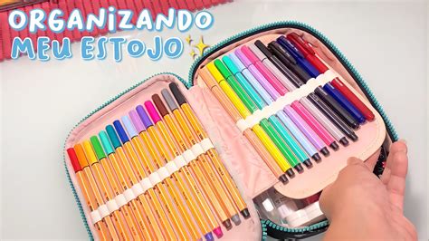 Organizando Meu Estojo Pens Da Kipling Para Youtube