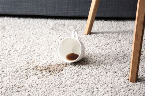 How To Remove Coffee Stains From Carpets Clothes And More Coffee