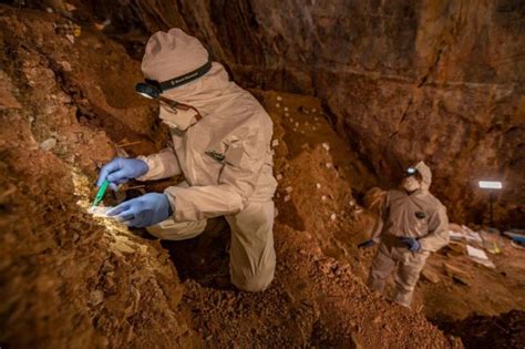 Cueva del Chiquihuite el hallazgo en México que sugiere que en América