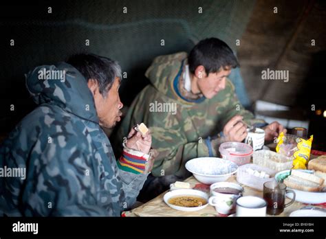 The Nenet tribe of the Yamal Peninsula Russia are reindeer herders. Gas ...