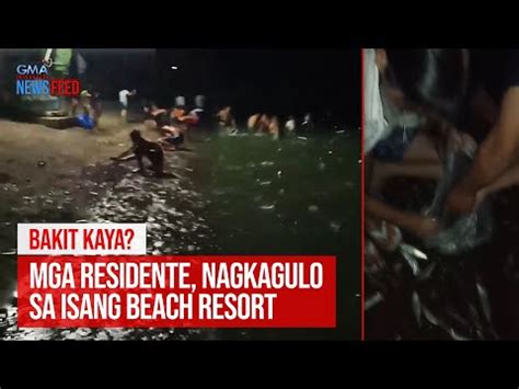 Bakit Kaya Mga Residente Nagkagulo Sa Isang Beach Resort Gma