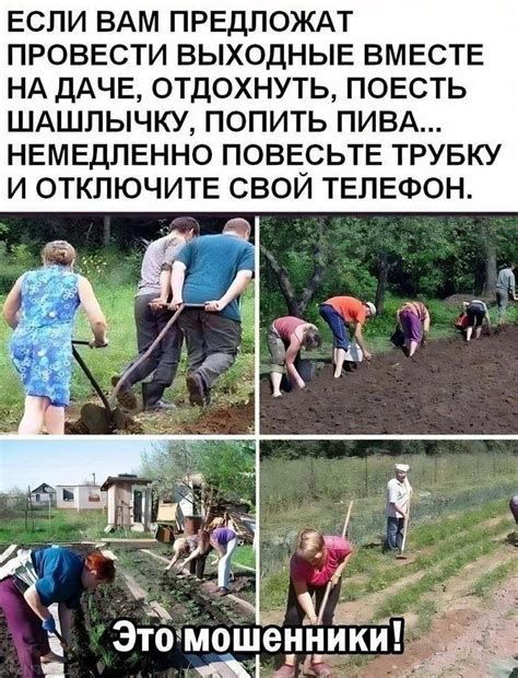 Майские мошенники | Пикабу