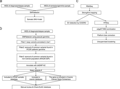 Pipelines For Sequencing Analysis A Analysis Of Whole Exome Download Scientific Diagram