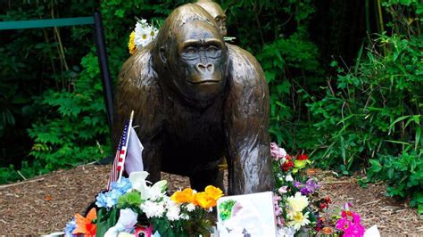 Guys, your Harambe memes are making the Cincinnati Zoo sad | Mashable