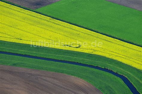 Vielank aus der Vogelperspektive Gelbe Blüten der Raps Feld