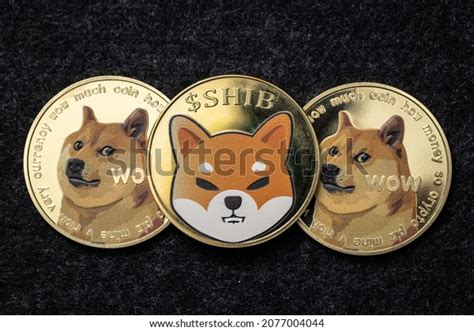 1,112 Shiba Inu Shib Dogecoin Doge Images, Stock Photos & Vectors | Shutterstock