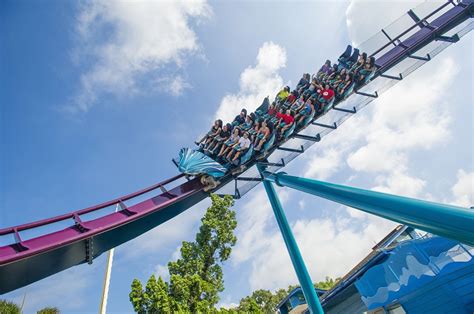 Spotlight Mako Roller Coaster Seaworld Als Blog