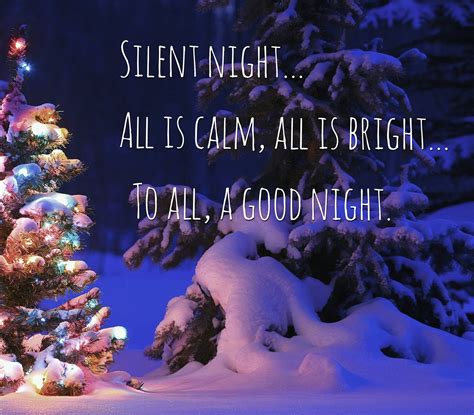 Pin By Mary Stratton On Merry Christmas Silent Night Night Life Christmas Quotes