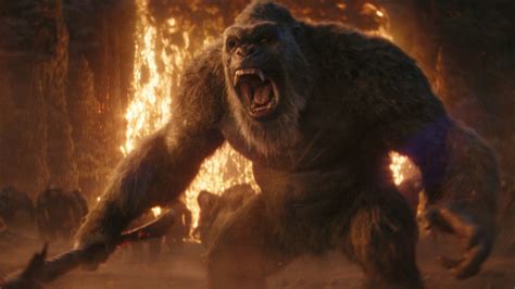 Godzilla X Kong The New Empire Review Rebecca Halls Film Is A