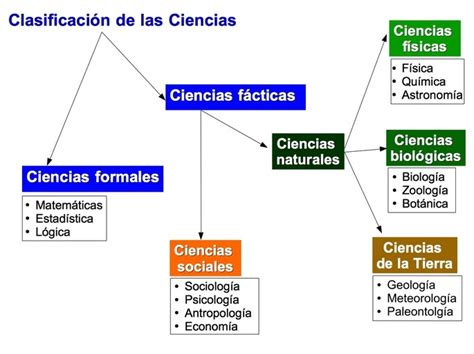 Descubre Los Diferentes Tipos De Ciencias