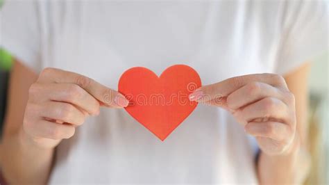 Woman Holds Red Heart Drawn On Paper Closeup Stock Image Image Of