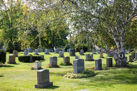 City officials debate the woodlawn cemetery restoration funding plans 18