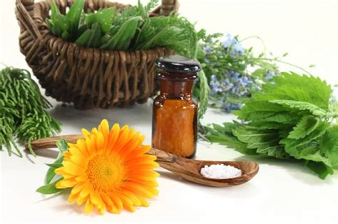 Comment Devenir Naturopathe Formation Professionnelle