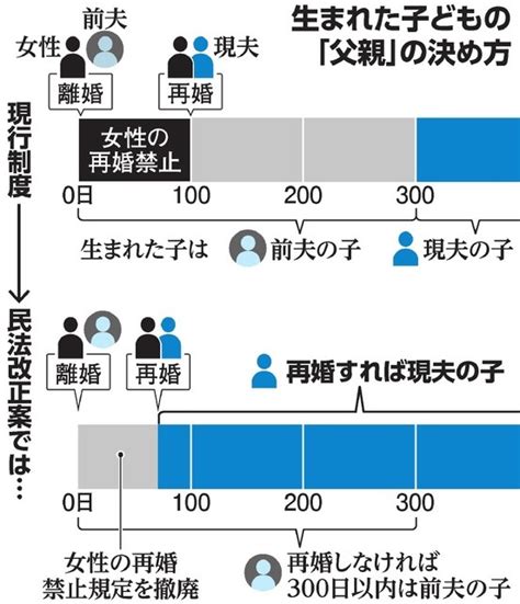 嫡出推定の見直し 吉村やすのり 生命の環境研究所