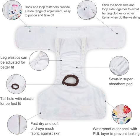 Cutebone Medium Washable Female Dog Diapers 3 Pack D16m Bigamart