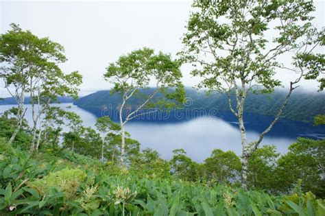 Lake Mashu, Hokkaido stock photo. Image of snow, japanese - 472764