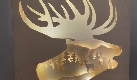 Light Box Cerf Par Matindetempete Sur L Air Du Bois