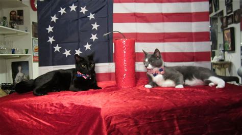 Happy July Th From My Cats Romulus Remus Part Youtube