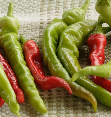 Pepperoncini Pepper Seeds – West Coast Seeds