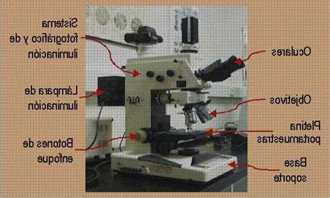 Los 35 Mejores MICROSCOPIOS OPTICO METALOGRAFIA mes 2024 Guía