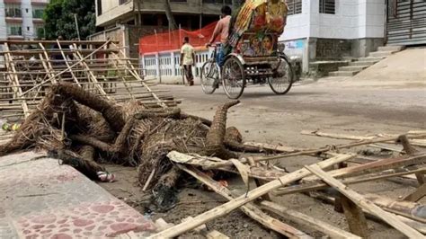 হিন্দুদের ওপর হামলা বাংলাদেশের ঘটনার জেরে ভারতে নাগরিকত্ব আইন নিয়ে