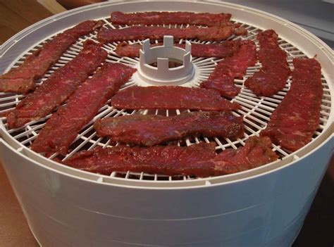 Dehydrator Easy Pressed Beef Jerky Just A Pinch Recipes