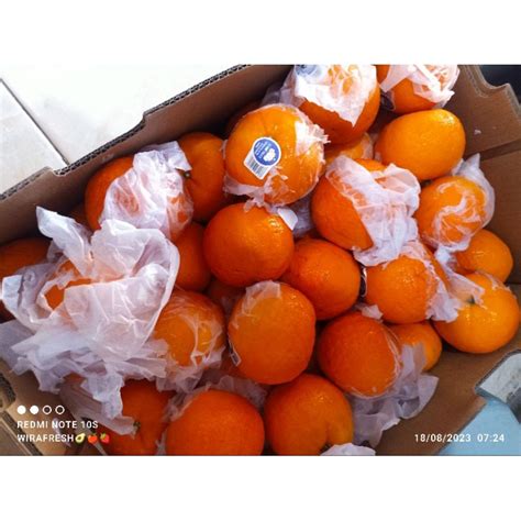 Jual Jeruk Mandarin Wogan Shopee Indonesia